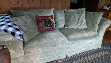 Smart TV, fireplace, DVD player, video library