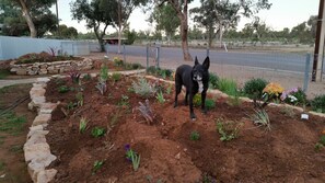 Property grounds - The Quorn-er House- family and pet friendly (Quorn)