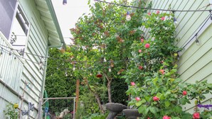 A garden with a variety of plants and flowers, including roses, and a stone water feature. - Poulsbo Marina and Olympic Hideaway View (Poulsbo)