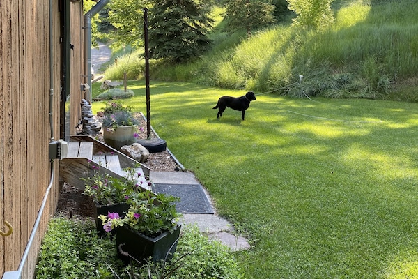 Overnattingsstedets uteområder