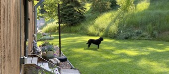 A wonderful, secluded 2 story cabin, deck, fire pit, stocked pond for fishing.  