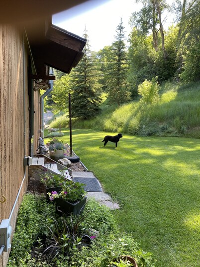 A wonderful, secluded 2 story cabin, deck, fire pit, stocked pond for fishing.  