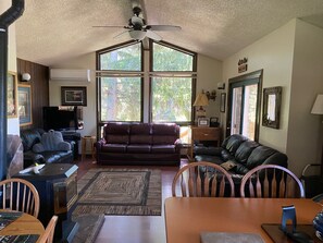 Älytelevisio, takka, DVD-soitin, kirjoja