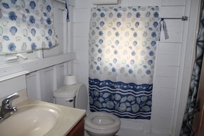 Combined shower/tub, hair dryer, towels, soap