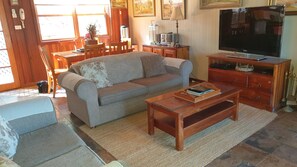 TV, DVD player, books, music library