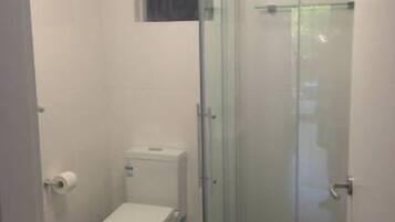 Shower, towels, toilet paper
