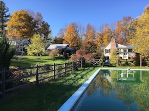 A serene garden with a swimming pool, wooden fence, and houses in the background.