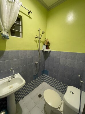 Douche, bidet, serviettes fournies, shampoing