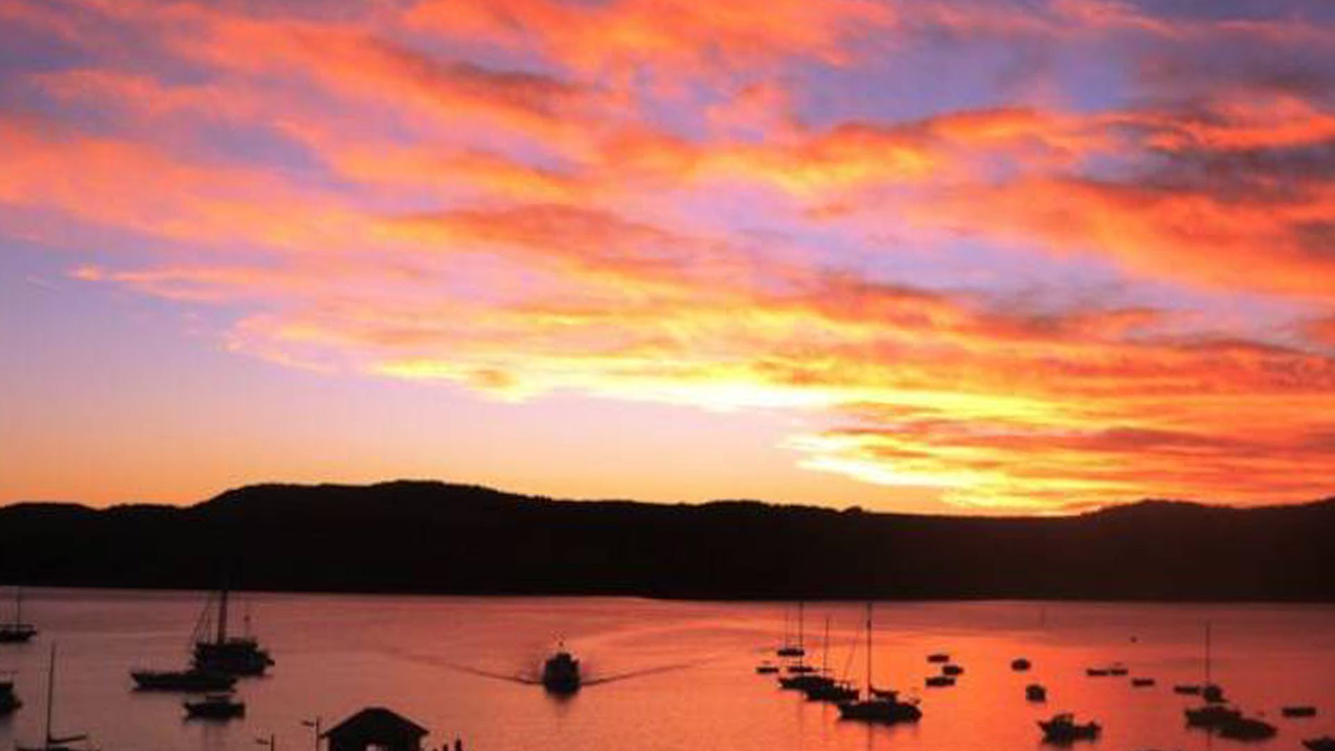 #1 Location at Palm Beach — image 4