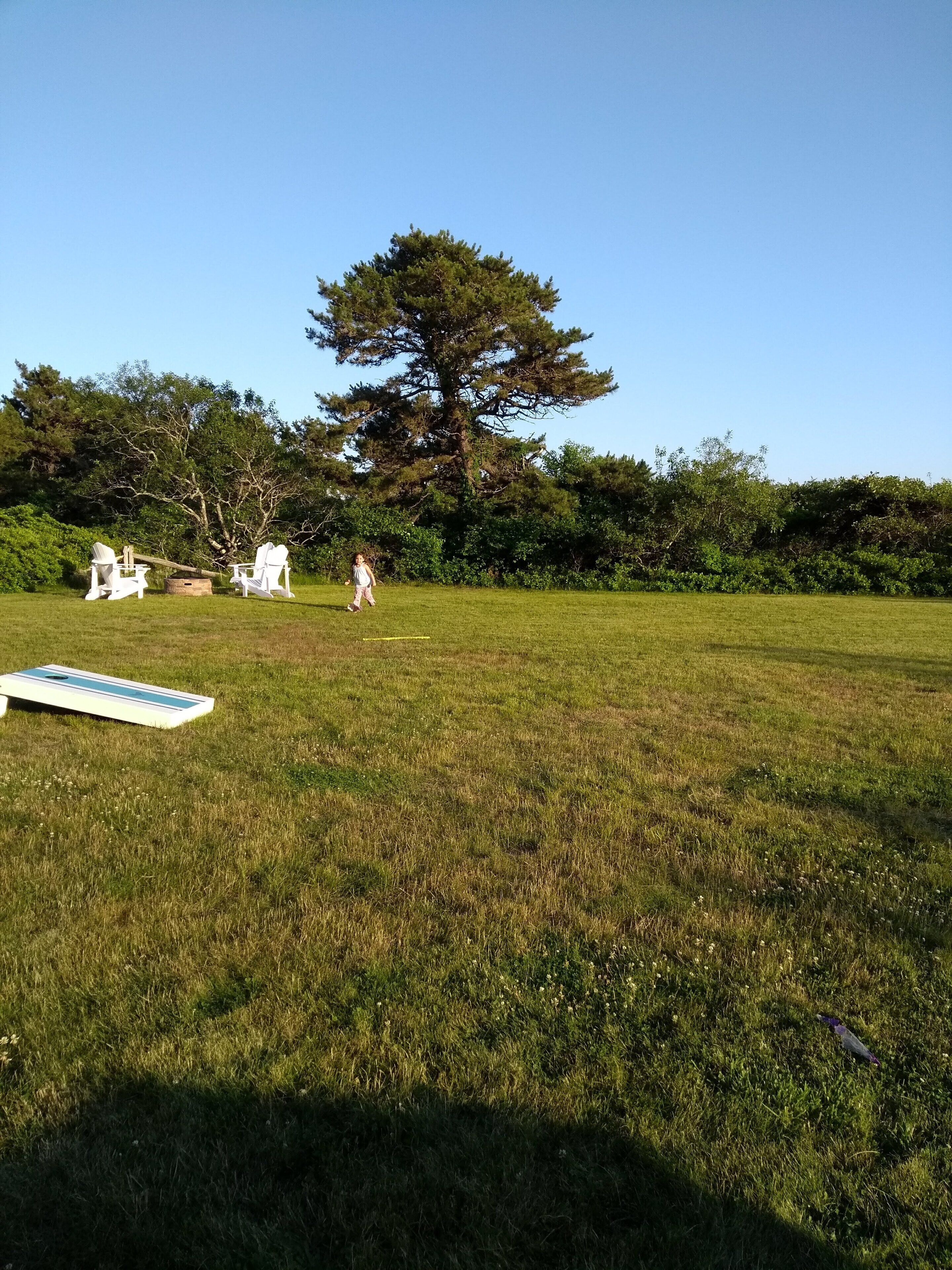 A grassy field with a large tree, two white chairs, and a blue and white object on the ground.