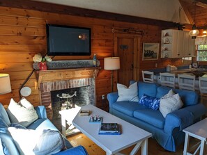 Smart TV, chimenea, reproductor de DVD, libros