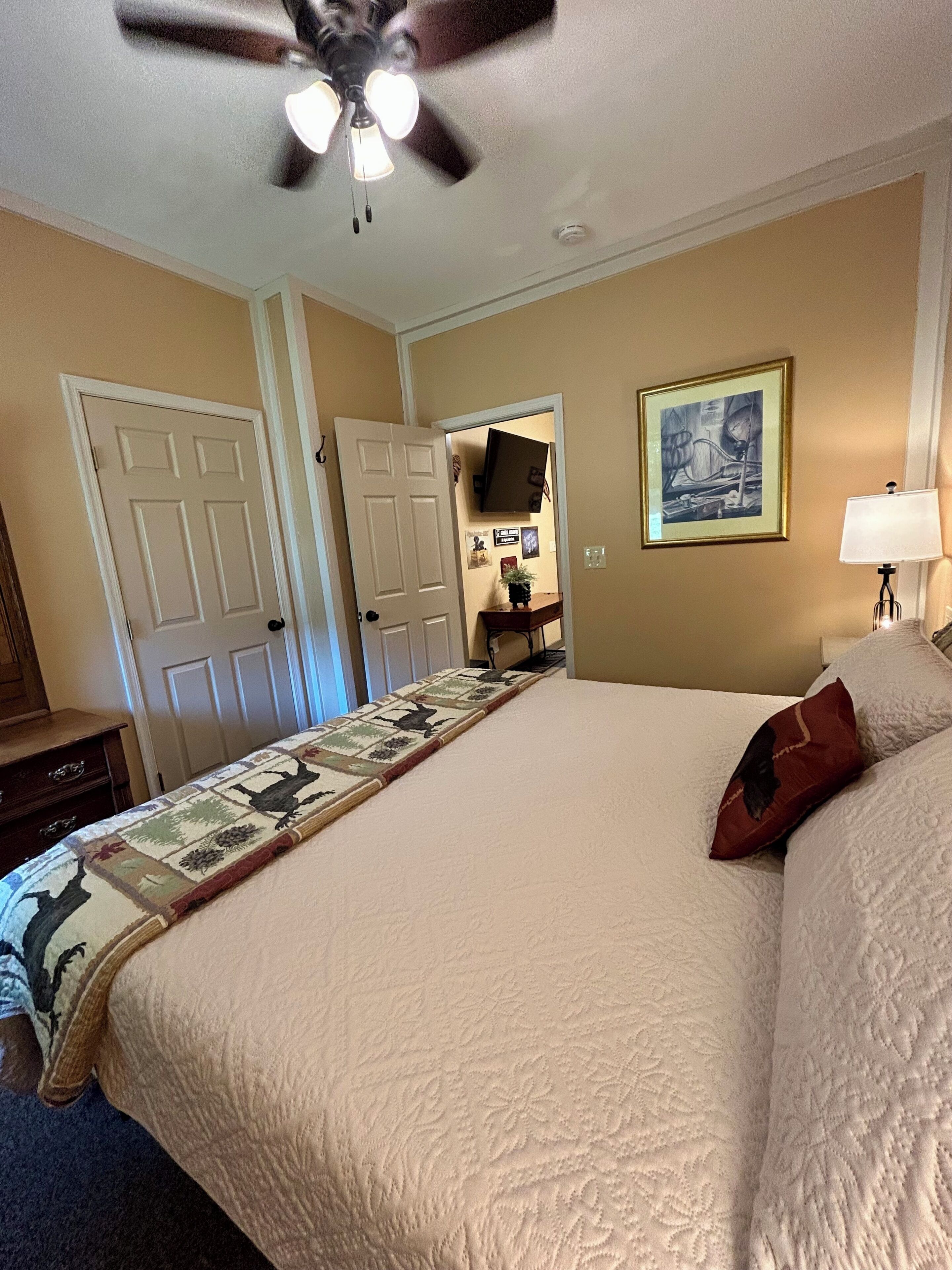 A bedroom with a bed, a ceiling fan, a door, a television, and a framed picture on the wall.