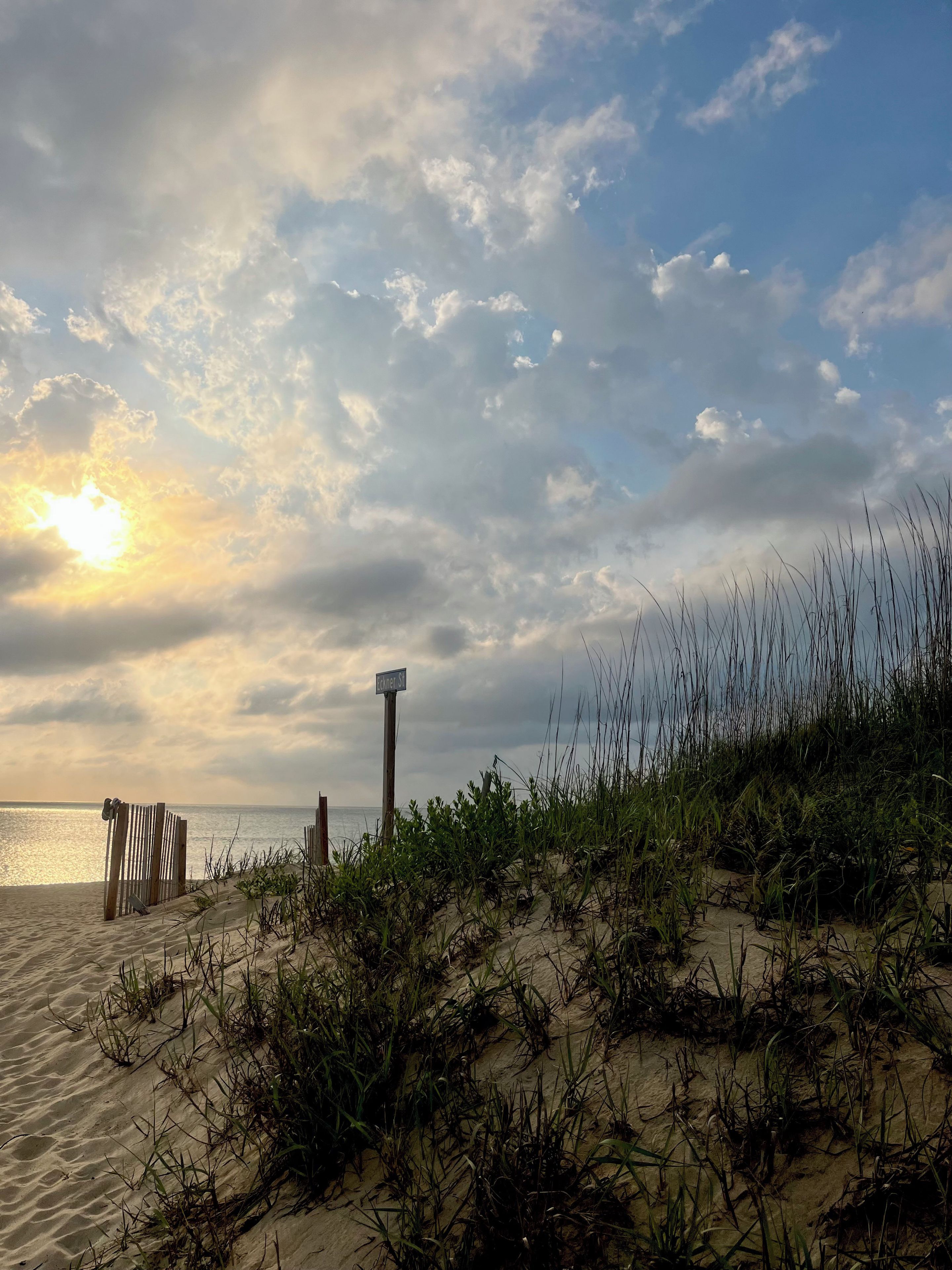 A beach with a wooden fence, a street sign, and vegetation.