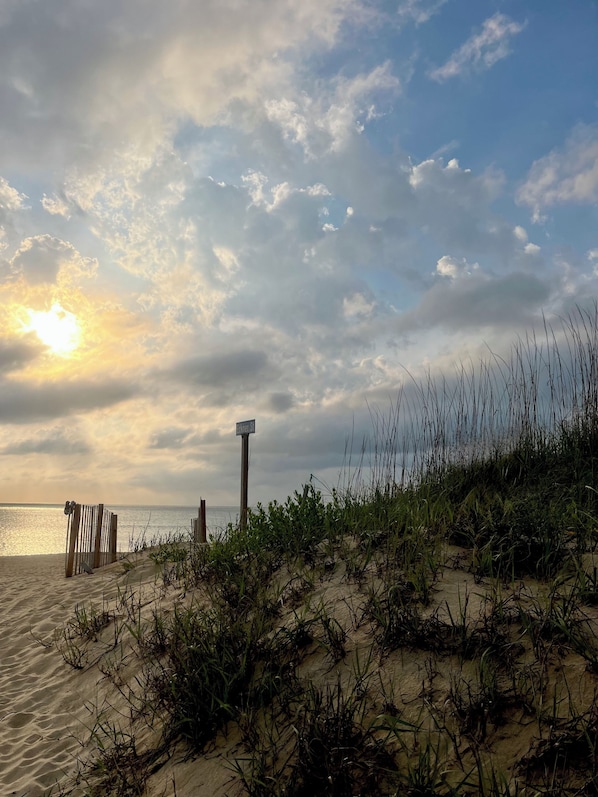 A beach with a wooden fence, a street sign, and vegetation.