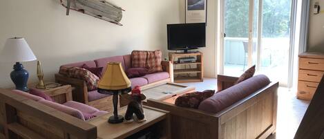 TV, DVD player, mesa de pingue-pongue, videoteca