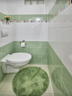 Un bagno con il water, un dispenser di asciugamani e un tappetino verde.