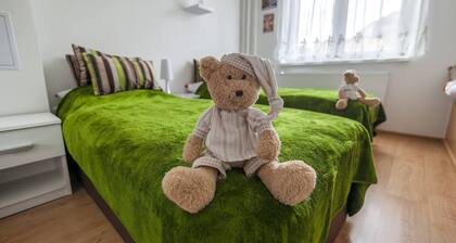 ZENTRALE KV WOHNUNG "U medvídků"