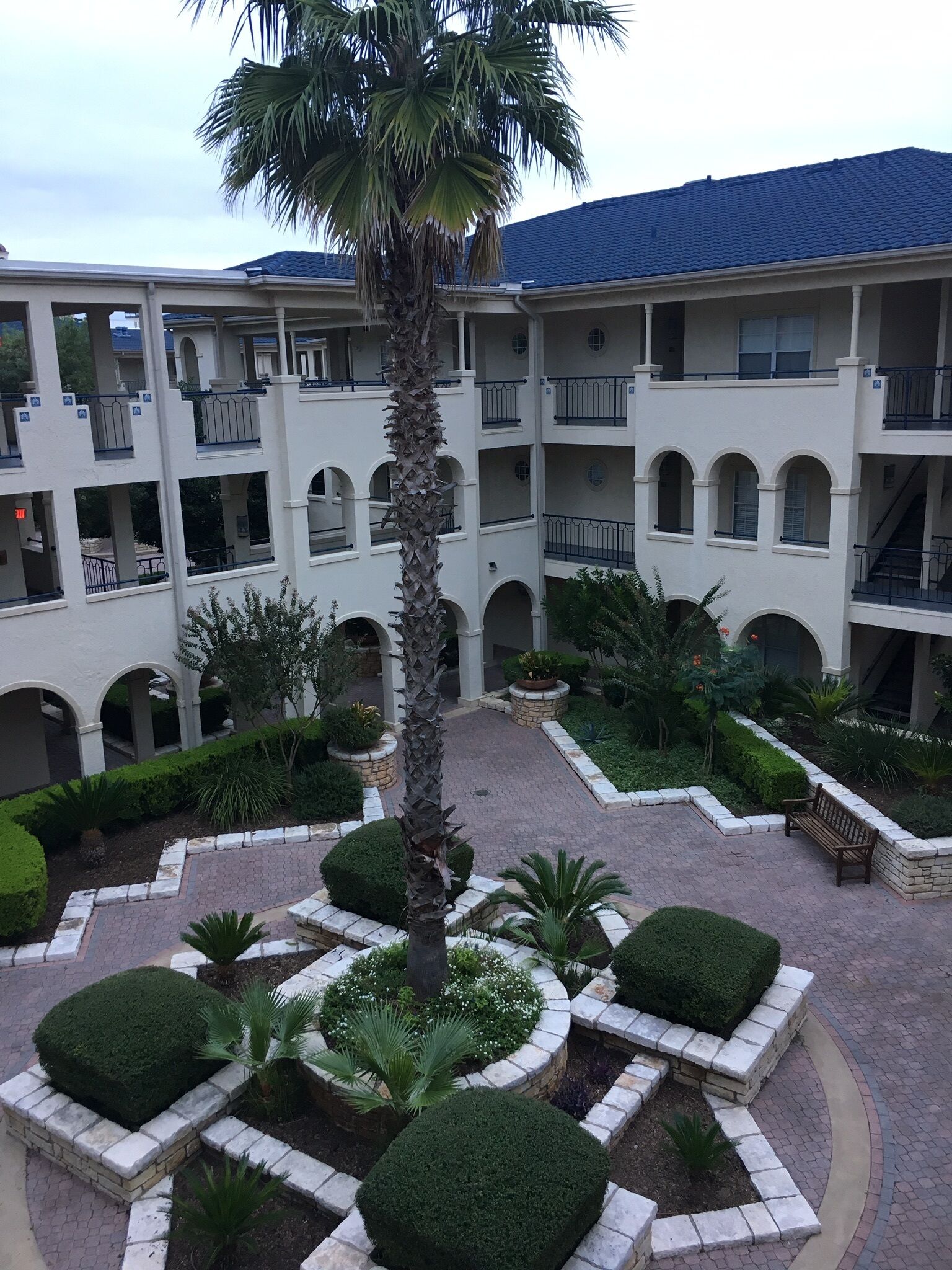 A multi-story building with a central courtyard featuring a palm tree, neatly trimmed bushes, and a paved walkway.