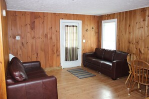 Televisio, DVD-soitin