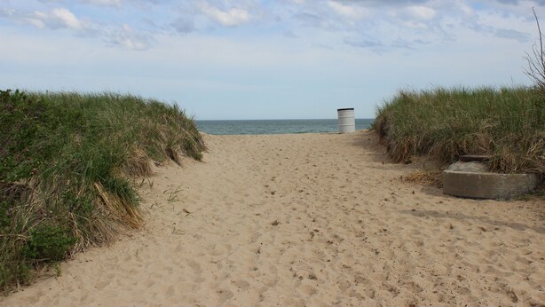 Ein Sandweg am Strand, der zum Meer führt, mit saftigen Dünen an beiden Seiten.