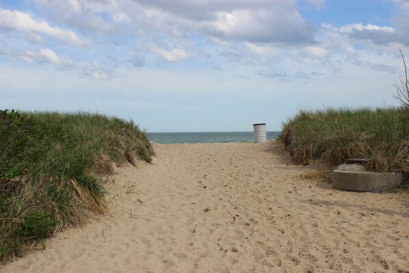 Walk along the beach pathway to the ocean, flanked by lush grassy dunes.