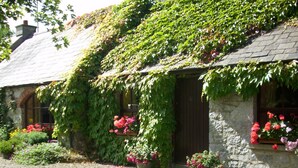 A stone cottage with a sloped roof covered in ivy, a wooden door, and potted flowers in front. -  Charming old-world country cottage, near Adare  (Kildimo)