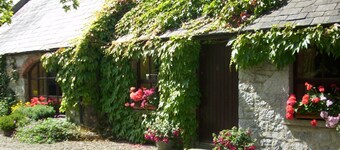  Charming old-world country cottage, near Adare 