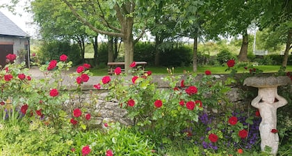Charming old-world country cottage, near Adare