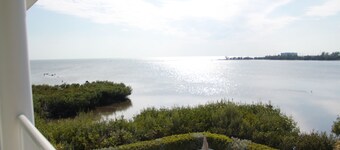  Oceanfront Marina Condo With All Luxuries