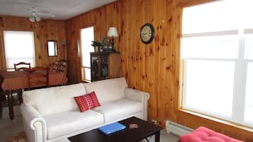 Smart TV, DVD player, books