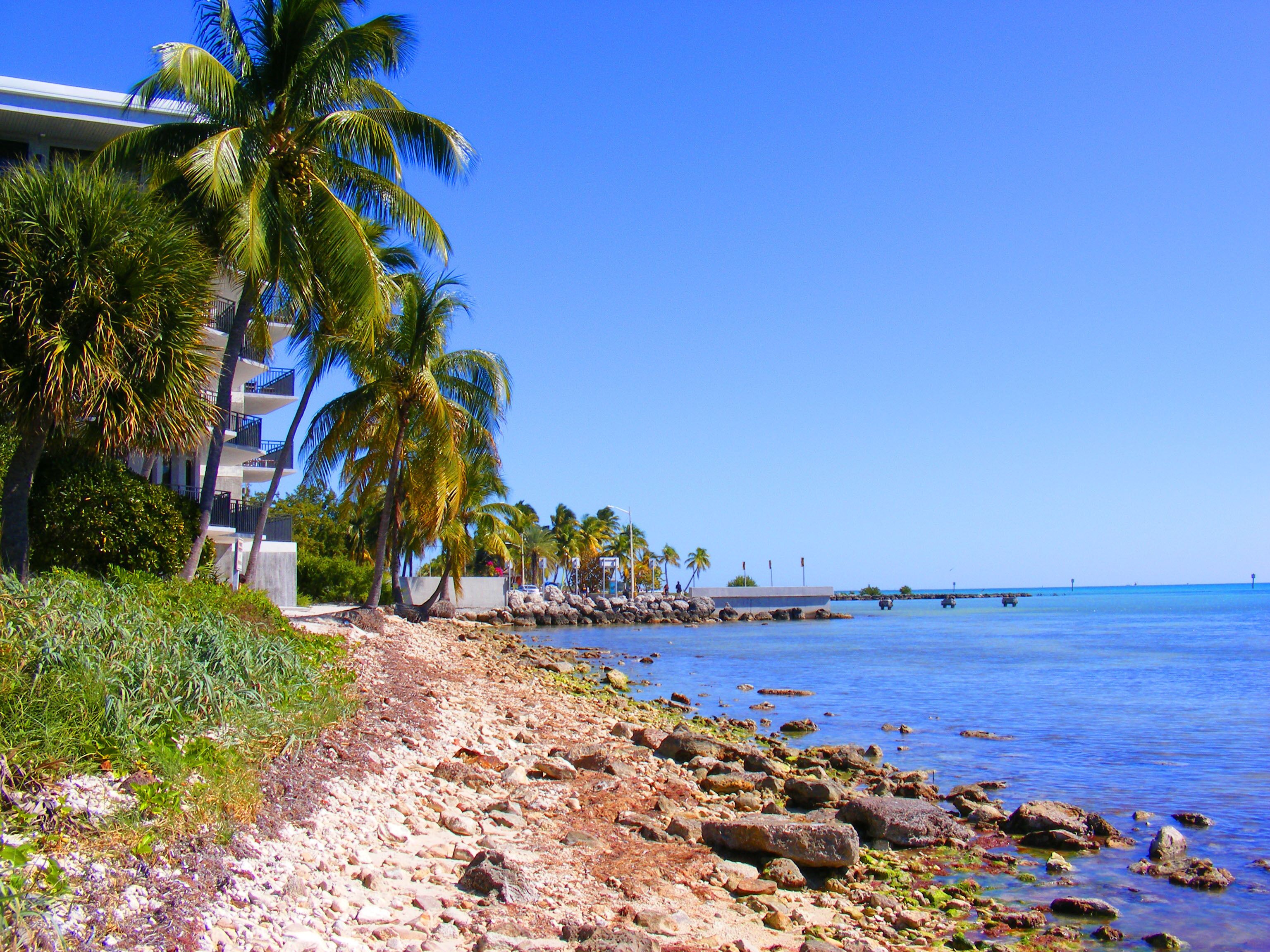 En la playa, camastros y toallas de playa 