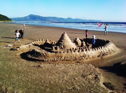 The Blue Rose Cottage - Amazing Views - Direct Beach Access - Pets Allowed