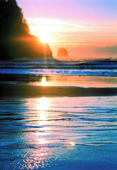 The Blue Rose Cottage - Amazing Views - Direct Beach Access - Pets Allowed
