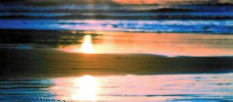 The Blue Rose Cottage - Amazing Views - Direct Beach Access - Pets Allowed