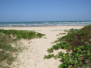 Am Strand, Liegestühle, Sonnenschirme, Strandtücher