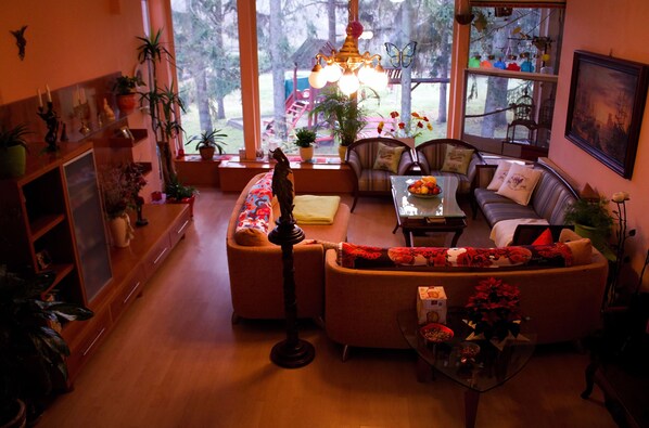 TV, fireplace