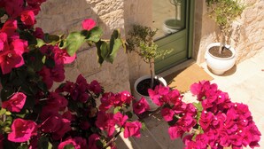 Un edificio de piedra con puerta verde, plantas en macetas y vibrantes flores rosadas.