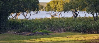 Raglan Cottage @Curley's Bay waterfront, screened deck, pets ✅️   ⛱️ 600m WiFi 

