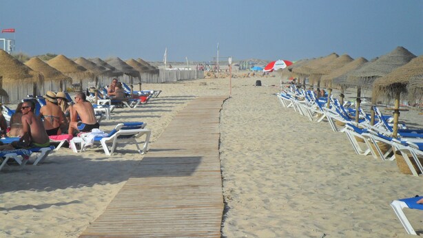 A beach with rows of sun loungers and thatched umbrellas, a wooden walkway, and a clear sky.