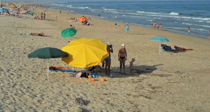 A Little Gem in Olhao, East Algarve