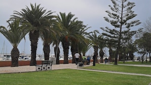 A park with palm trees, benches, and a pathway.
