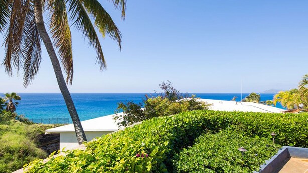 A coastal view with a palm tree, a white building, and a clear blue sky. - EXCLUSIVE EXECUTIVE HOME WITH FABULOUS 180o OCEAN VIEW. (Honolulu)