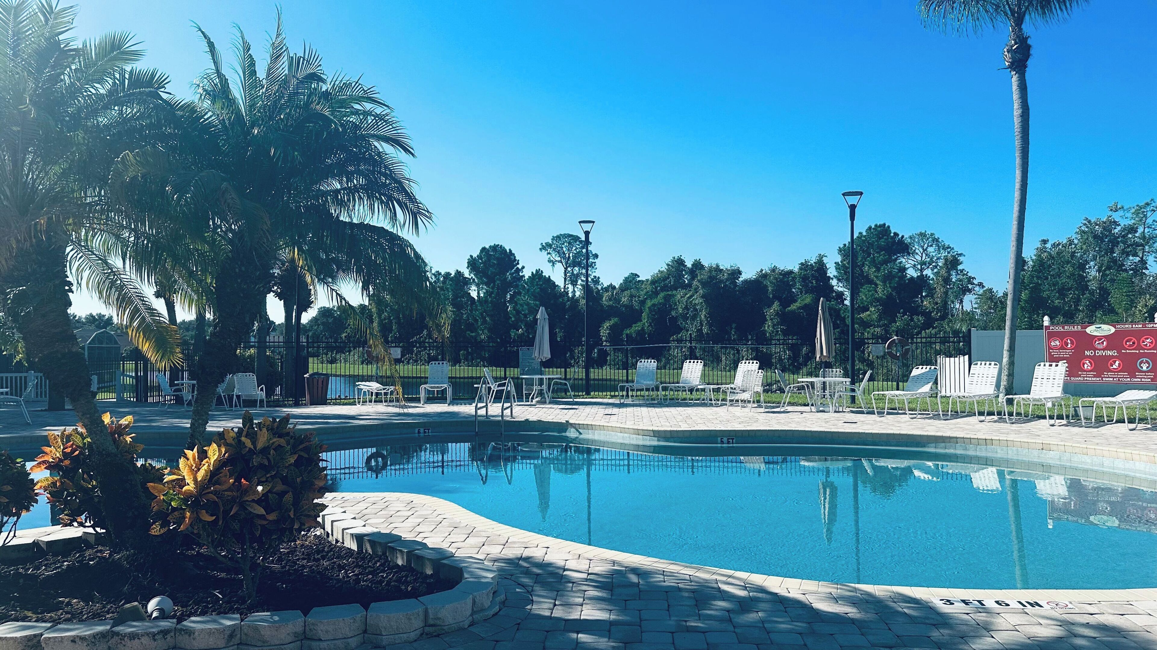 A clear blue pool with lounge chairs and palm trees.