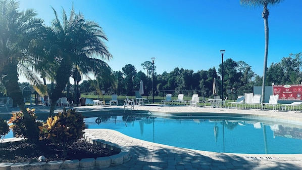 A clear blue pool with lounge chairs and palm trees.