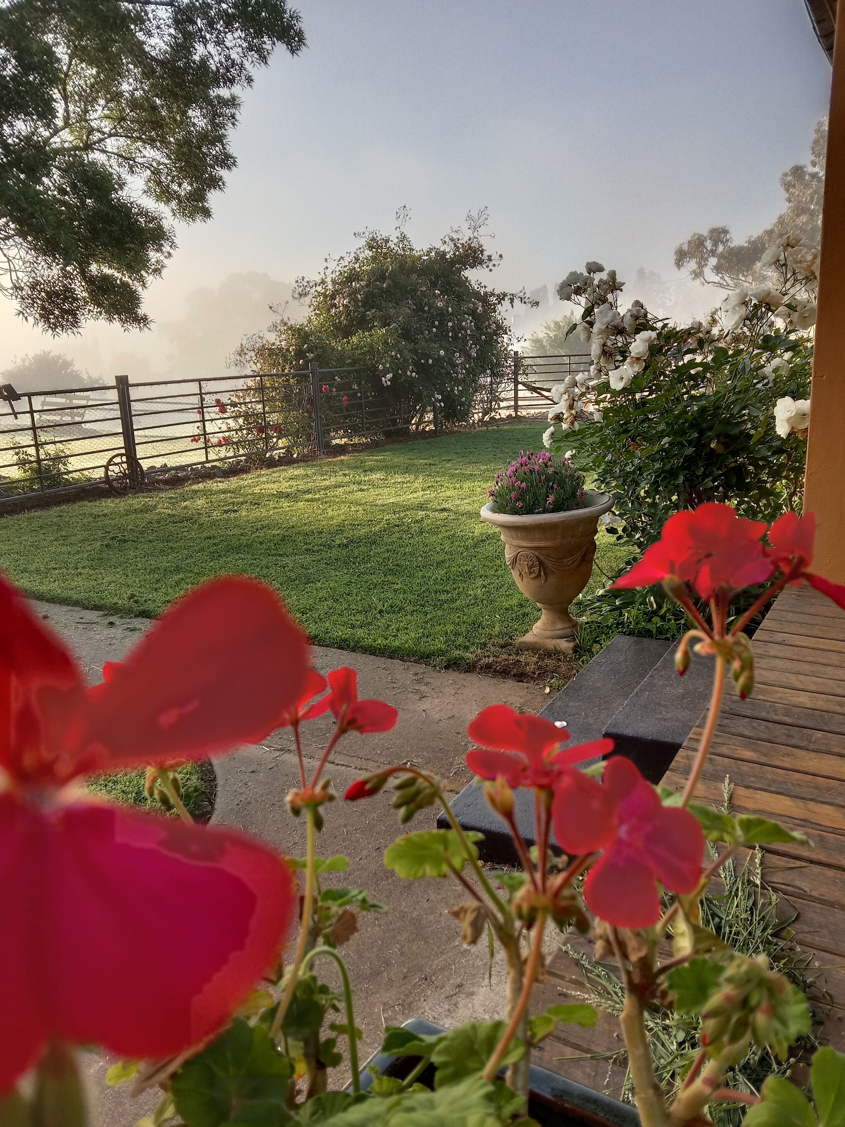 Detalle del exterior