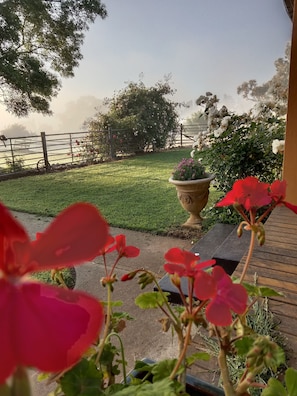 Exterior detail - Geralda Cottage Jugiong (Jugiong)