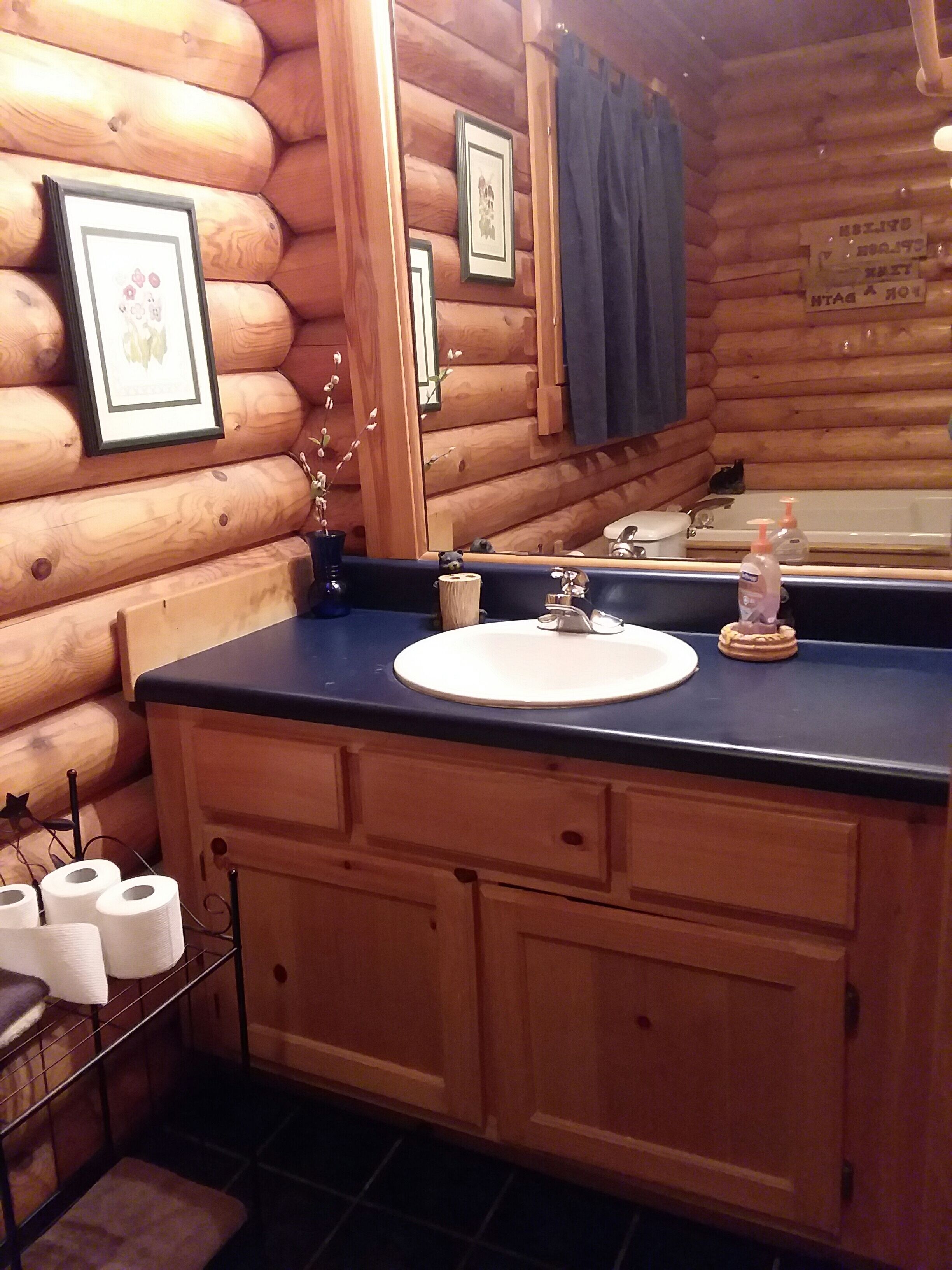 A wooden cabin-style bathroom with a sink, mirror, and toilet.