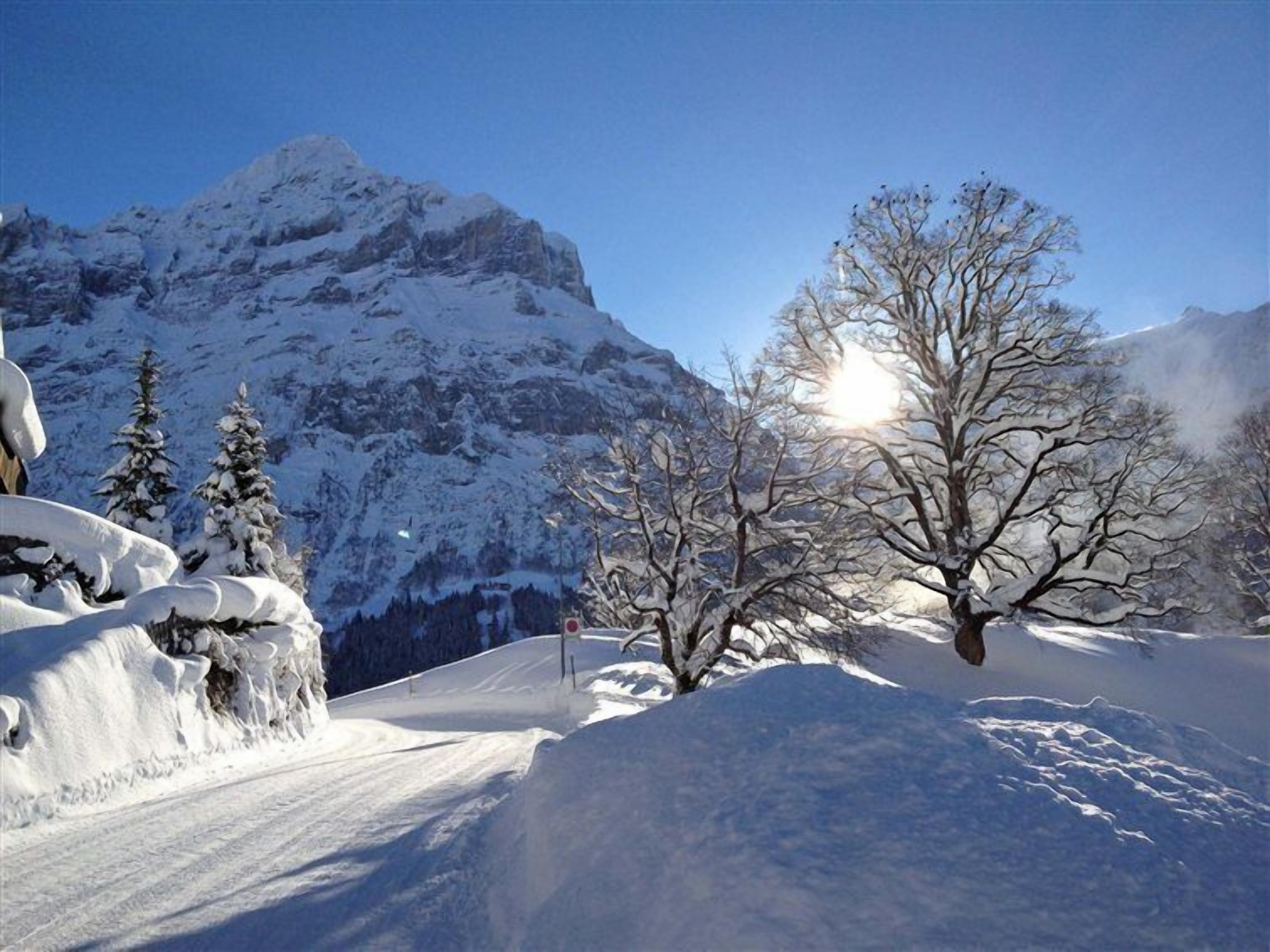 A snowy mountain landscape with a clear sky and a prominent peak.