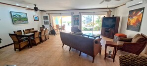 Smart TV, DVD player, books, stereo