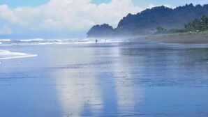 A beach with a calm sea, a sandy shore, and a forested hill in the background.